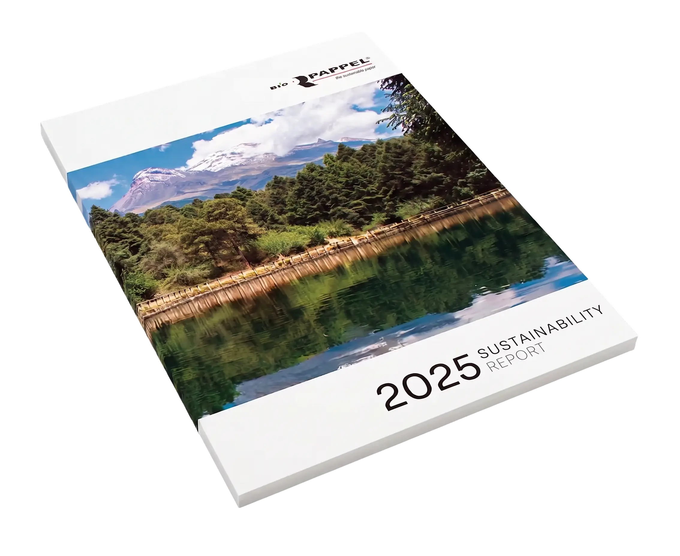 informe2025